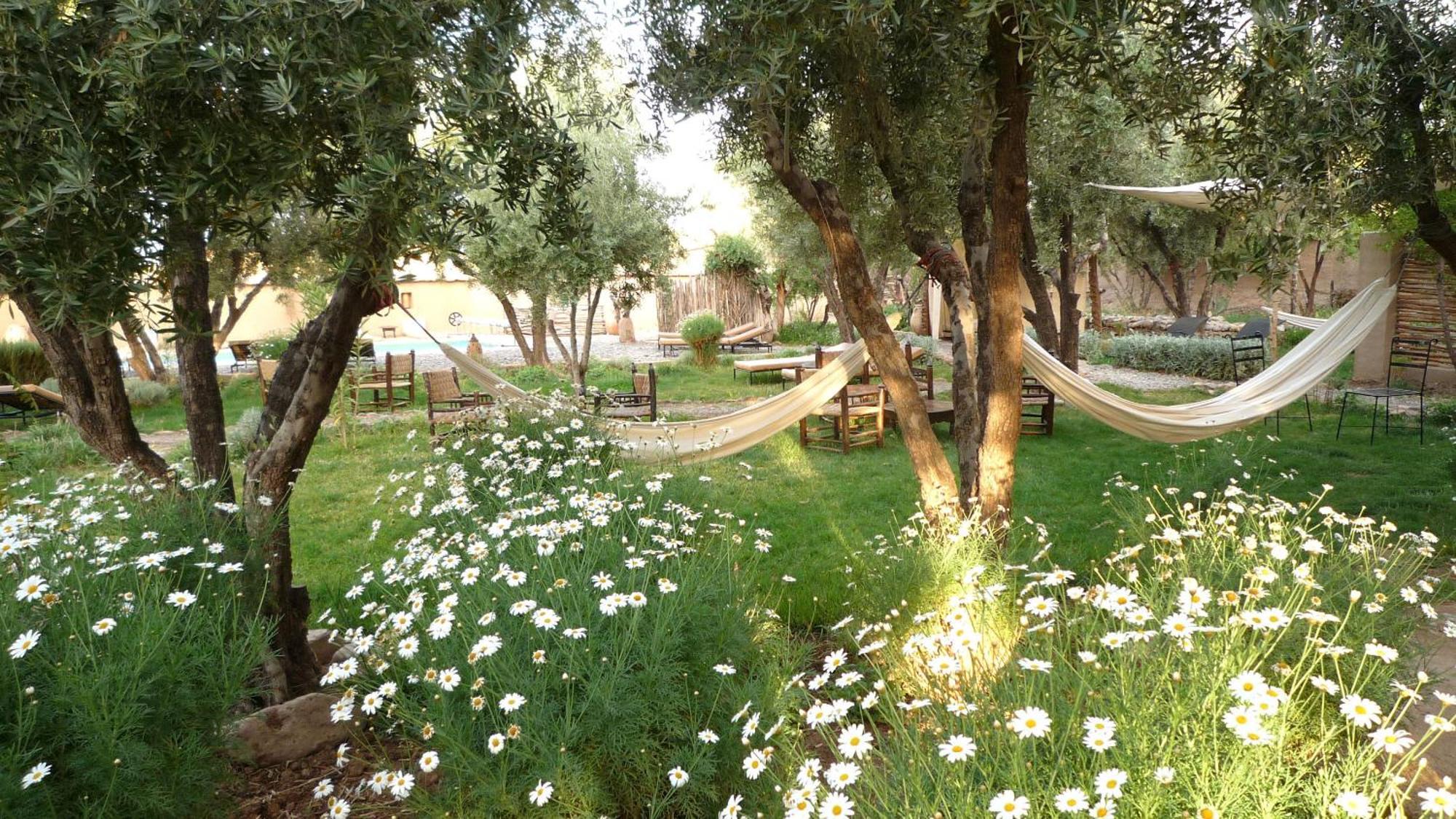 Les Jardins De Skoura Bed & Breakfast Dış mekan fotoğraf