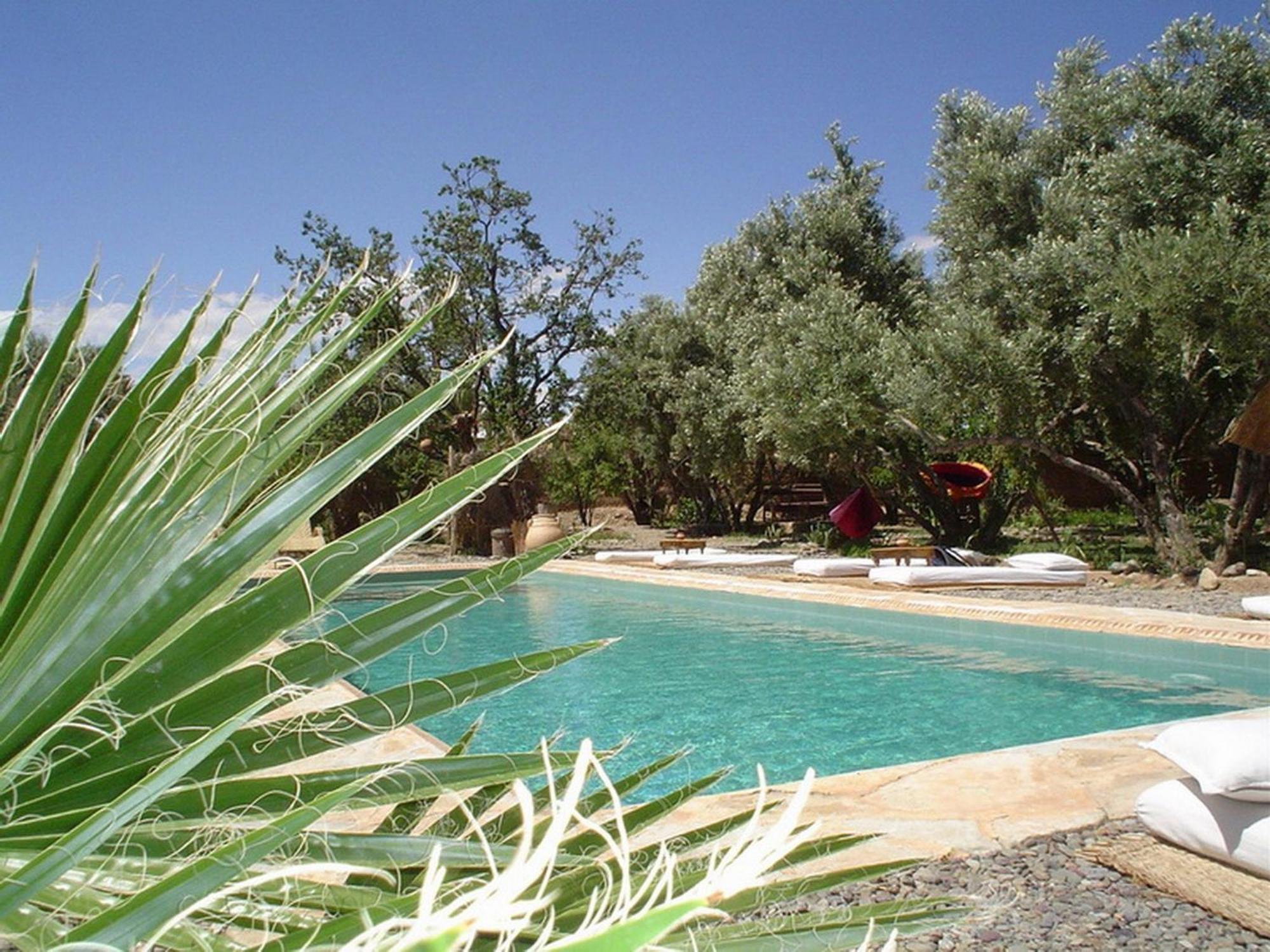 Les Jardins De Skoura Bed & Breakfast Dış mekan fotoğraf